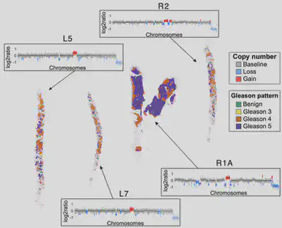 Figure_7
