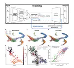 NeuroVelo: interpretable learning of temporal cellular dynamics from single-cell data