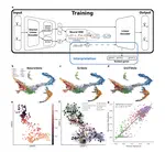 NeuroVelo: interpretable learning of temporal cellular dynamics from single-cell data