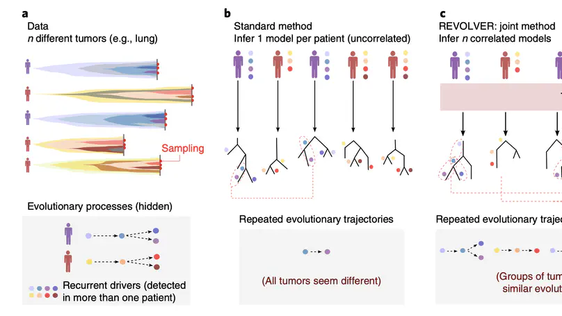 Detecting repeated cancer evolution from multi-region tumor sequencing data