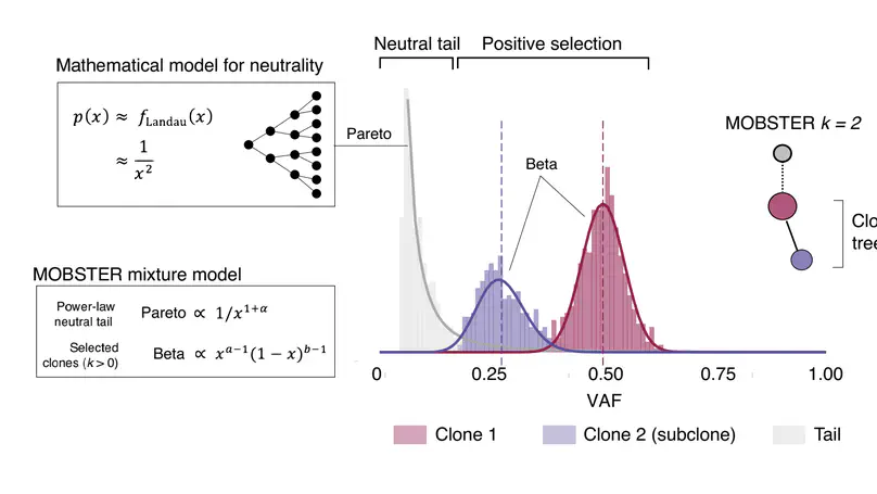 Subclonal reconstruction of tumors by using machine learning and population genetics