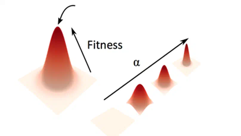 Stabilising selection causes grossly altered but stable karyotypes in metastatic colorectal cancer