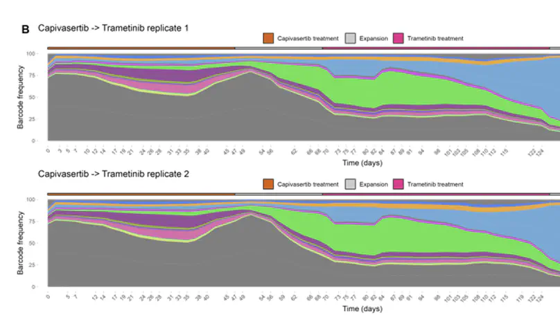 Epigenetic heritability of cell plasticity drives cancer drug resistance through one-to-many genotype to phenotype mapping