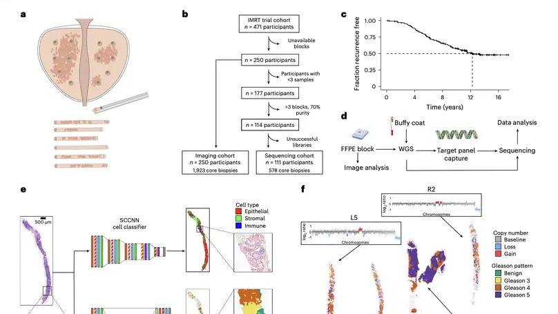 Tumor evolution metrics predict recurrence beyond 10 years in locally advanced prostate cancer