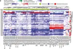 The co-evolution of the genome and epigenome in colorectal cancer