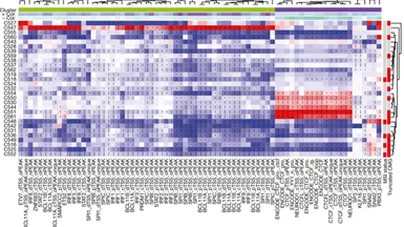 The co-evolution of the genome and epigenome in colorectal cancer