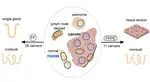 Epigenome and early selection determine the tumour-immune evolutionary trajectory of colorectal cancer