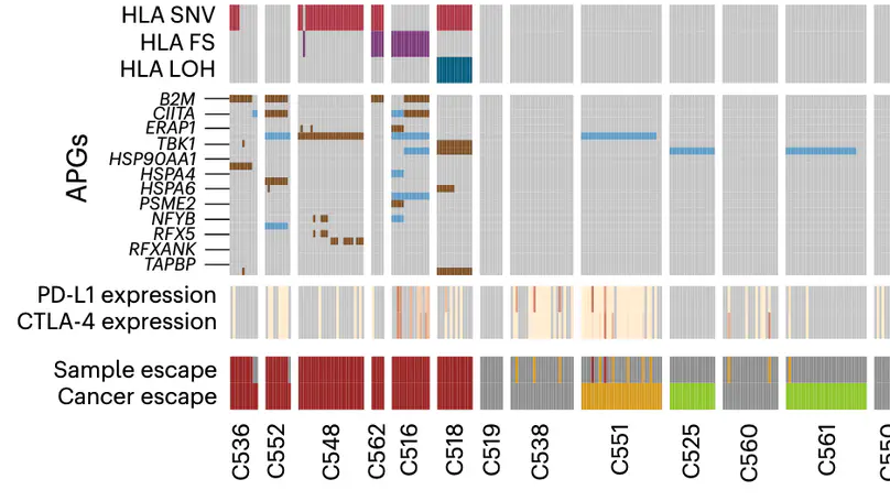Epigenetically driven and early immune evasion in colorectal cancer evolution