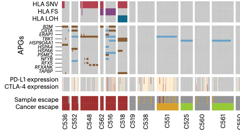 Epigenetically driven and early immune evasion in colorectal cancer evolution