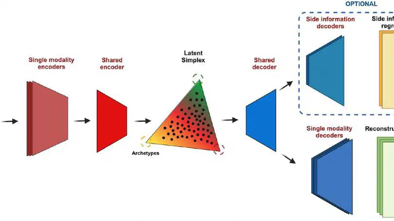 MIDAA: deep archetypal analysis for interpretable multi-omic data integration based on biological principles