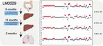 Negative Selection Maintains Grossly Altered but Broadly Stable Karyotypes in Metastatic Colorectal Cancer