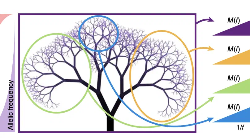 Identification of neutral tumor evolution across cancer types