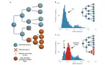 Quantification of subclonal selection in cancer from bulk sequencing data