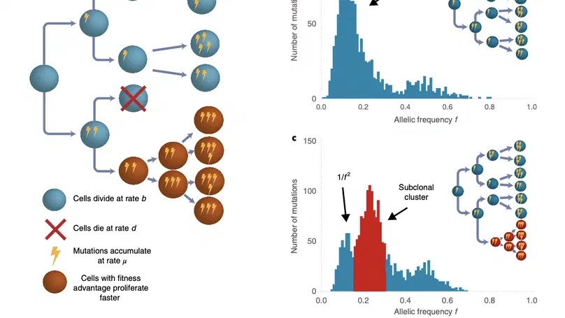 Quantification of subclonal selection in cancer from bulk sequencing data