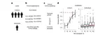 Immune selection determines tumor antigenicity and influences response to checkpoint inhibitors